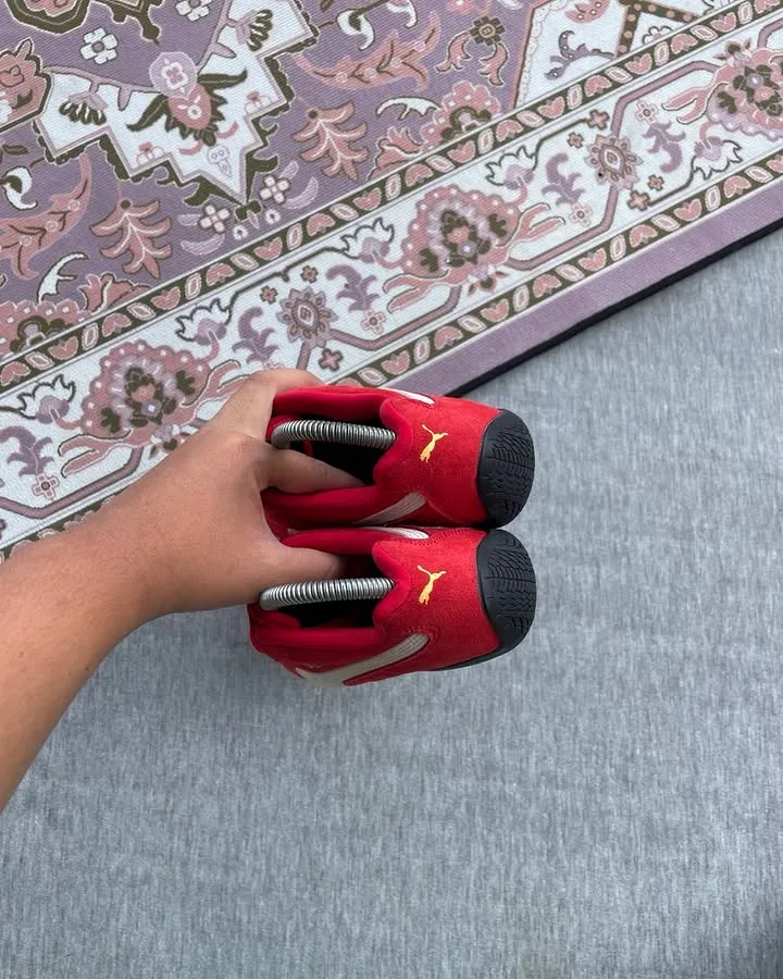 Puma Spedcat