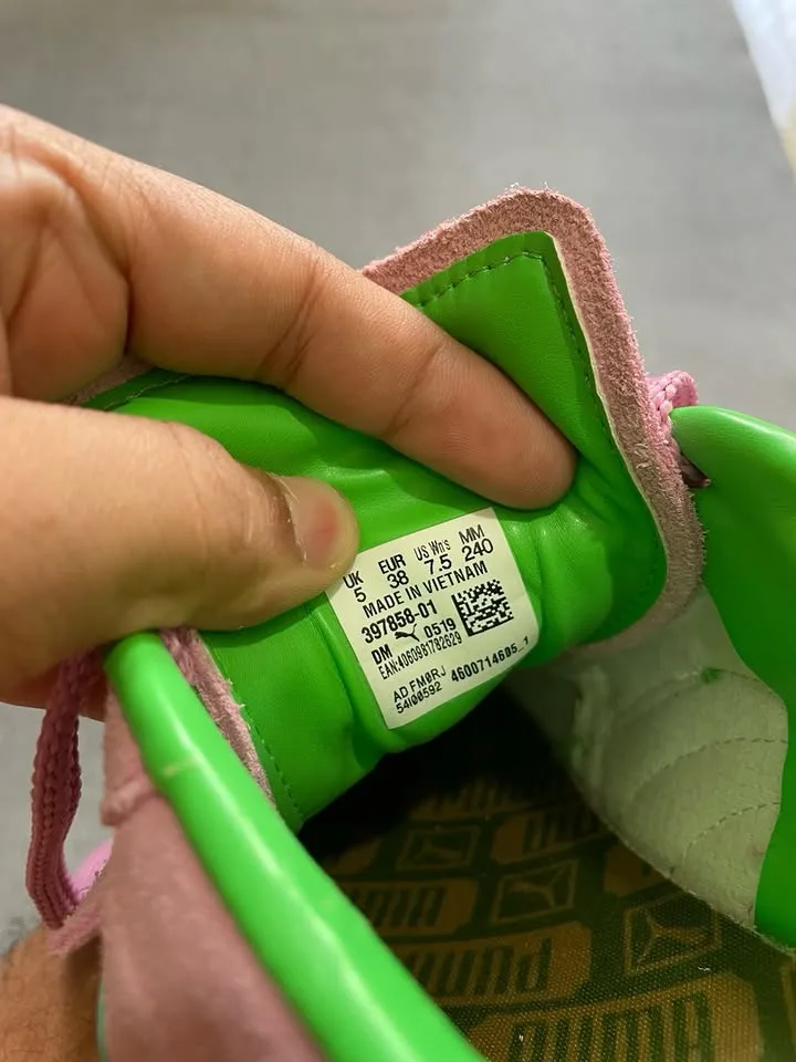 Puma palermo