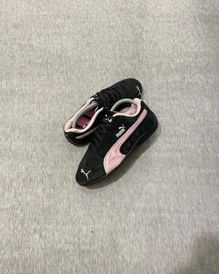 Puma spedcat