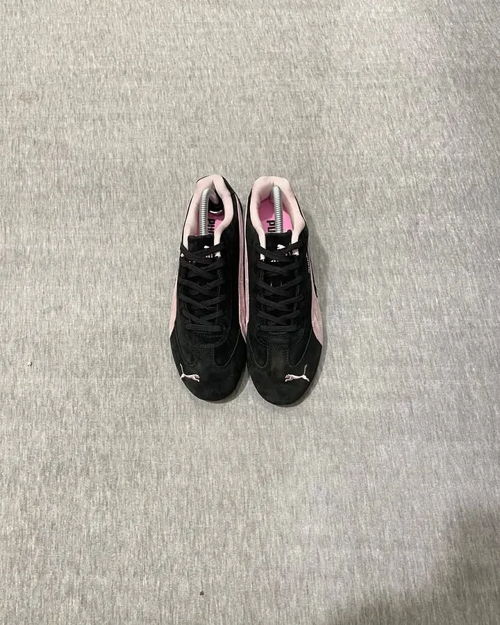 Puma spedcat