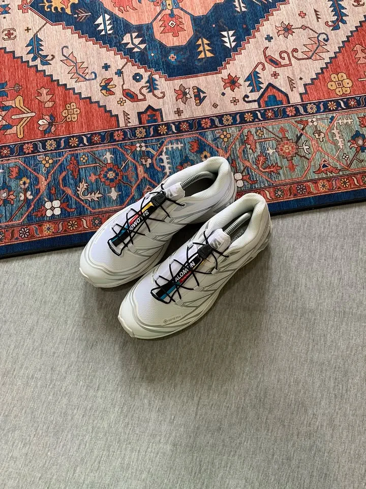 Salomon XT-6 Gore-Tex White silver