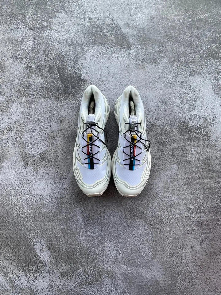 Salomon XT-6 white silver