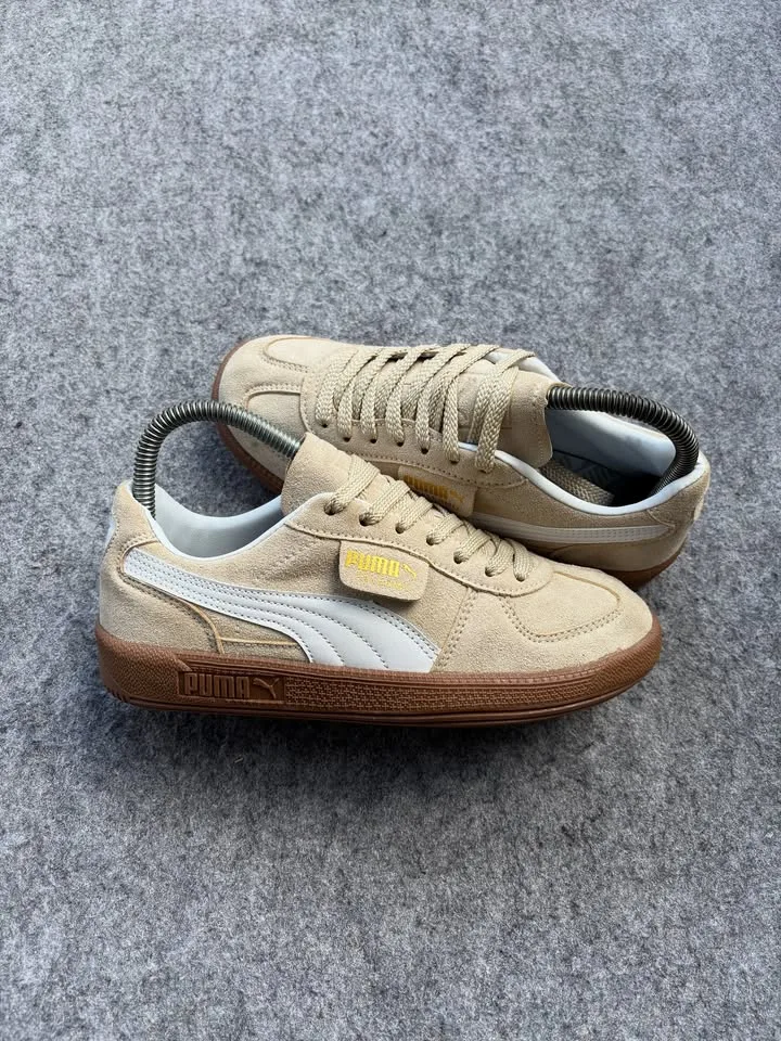 Puma palermo