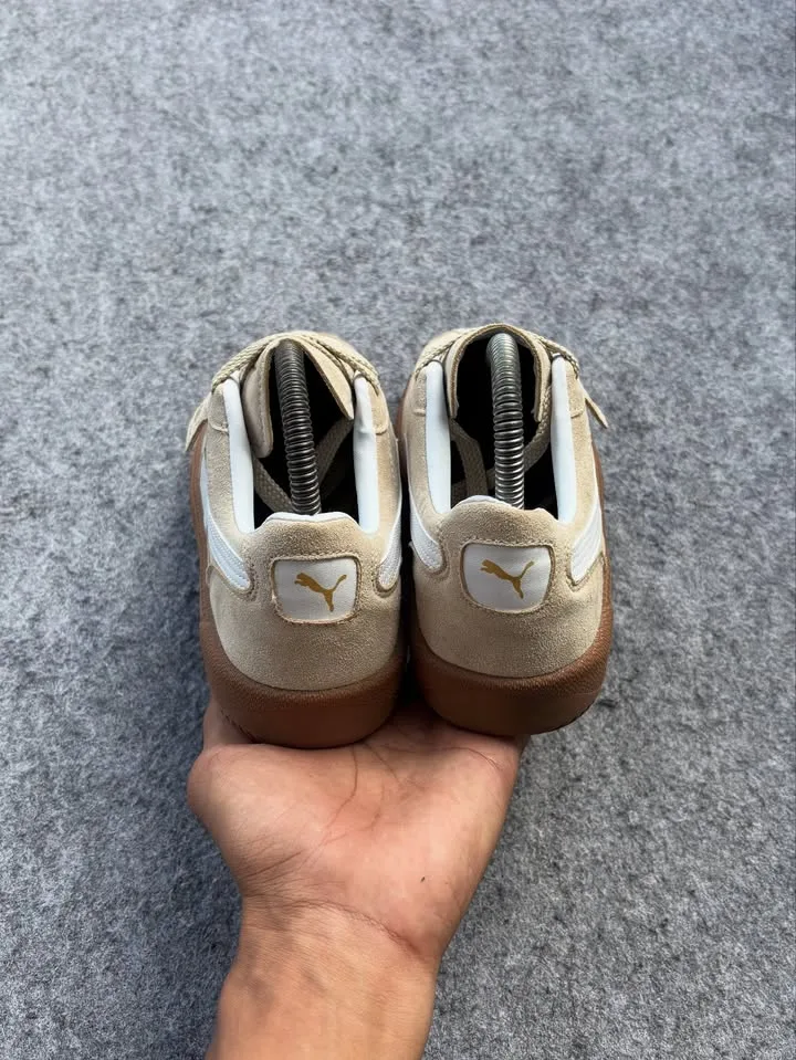 Puma palermo